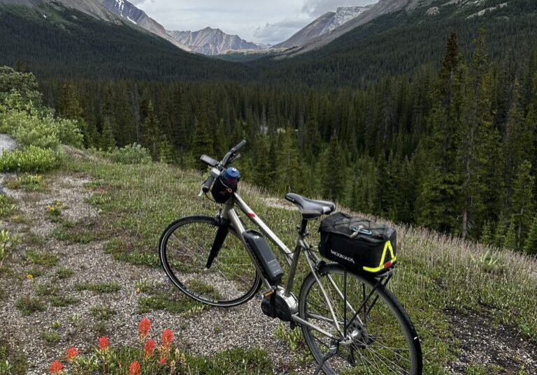 Tailwinds and Tall Tales