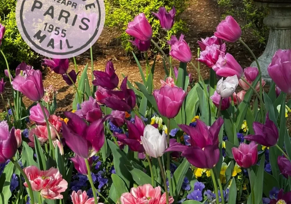 Tailwinds and Tall Tales